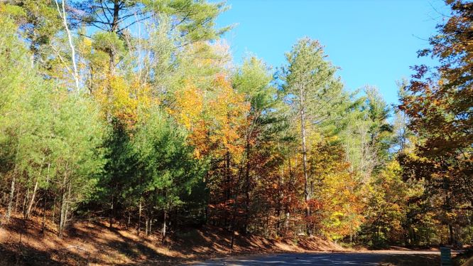 204 Mountain Path The Preserve