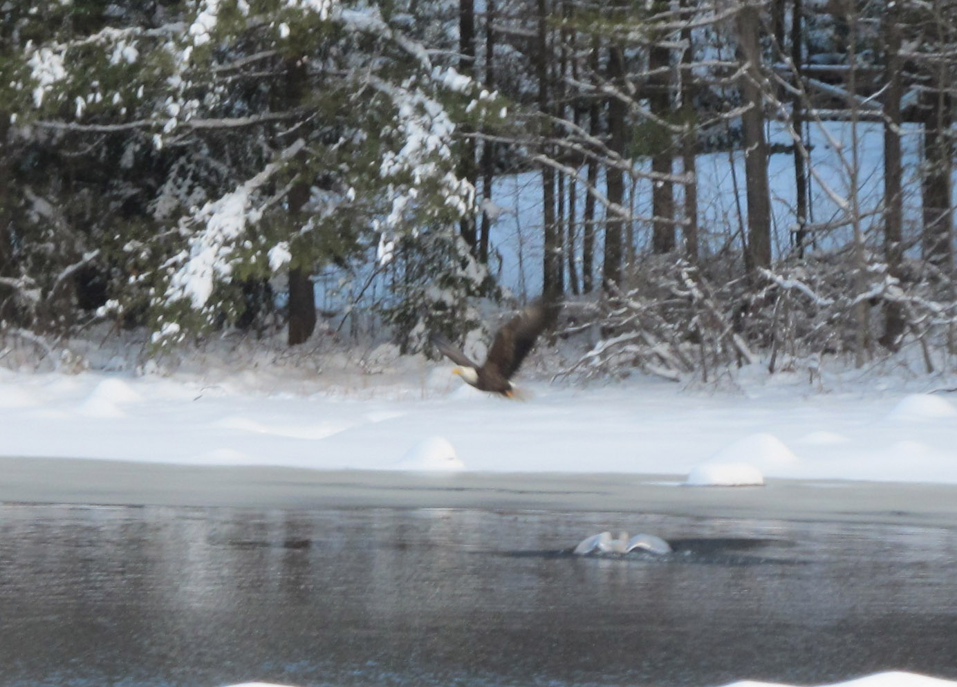 Gore Mountain Real Estate Company of the Adirondack Park presents