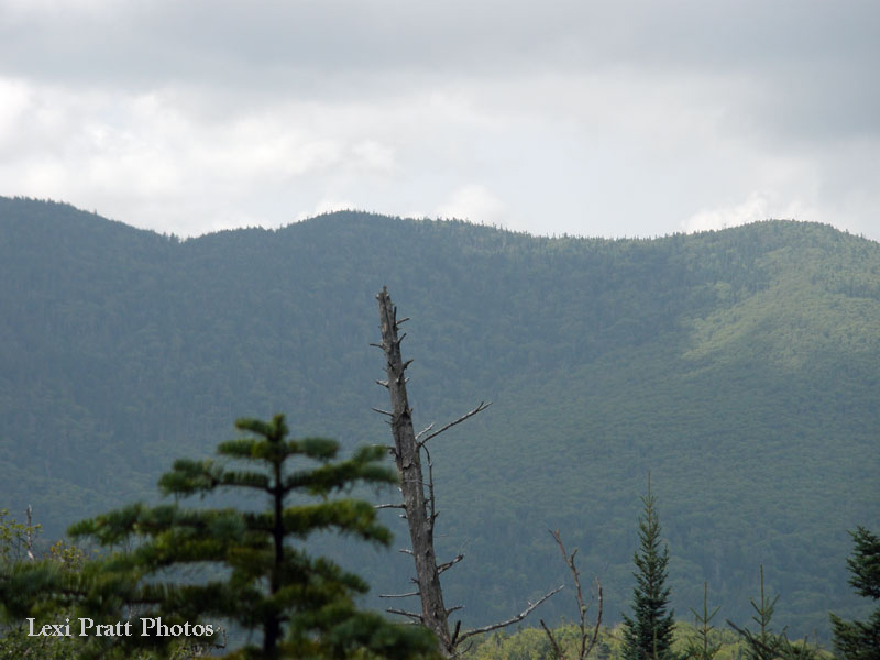 Scenic Adirondack Mountain pictures