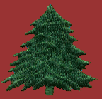 Adirondack Pine Tree